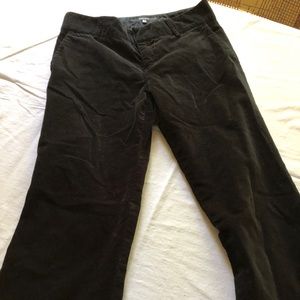 Zara velvet pants
